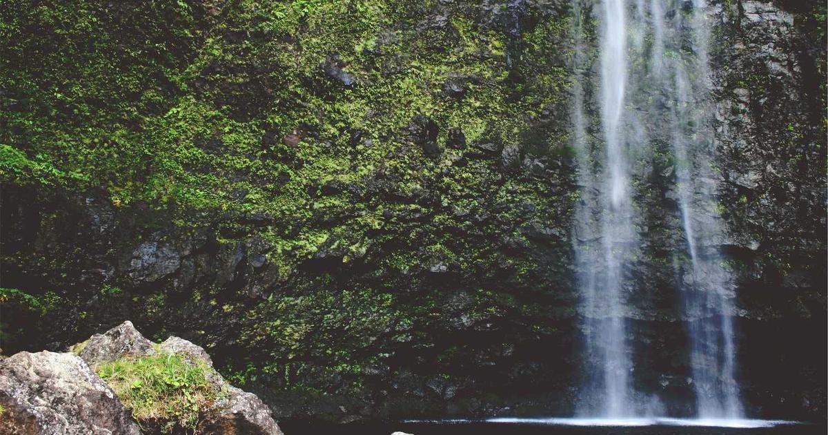 Tren Terbaru: Web Development framework dan tools terbaru