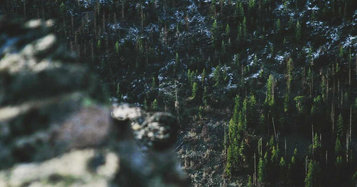 Tren Terbaru: Mobile app development trends dan best practices