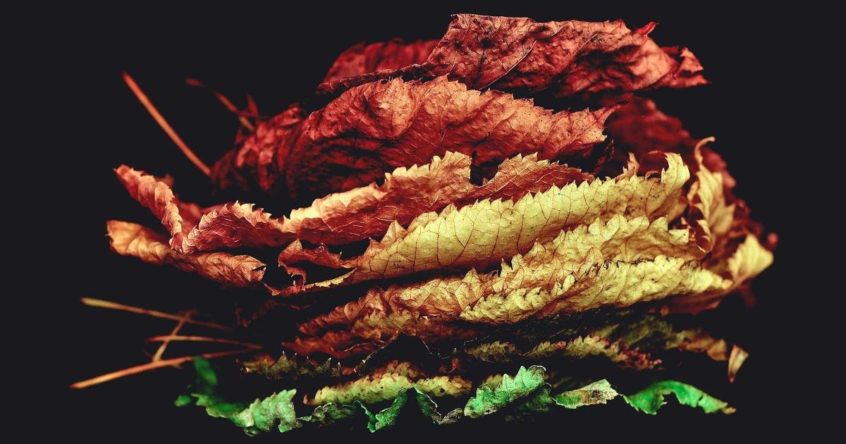 Tren Terbaru: Big Data analytics dan business intelligence