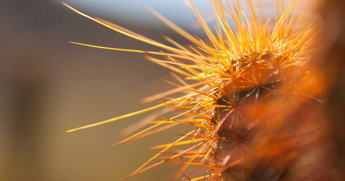 Tren Terbaru: Teknologi Cloud Computing dan infrastruktur modern