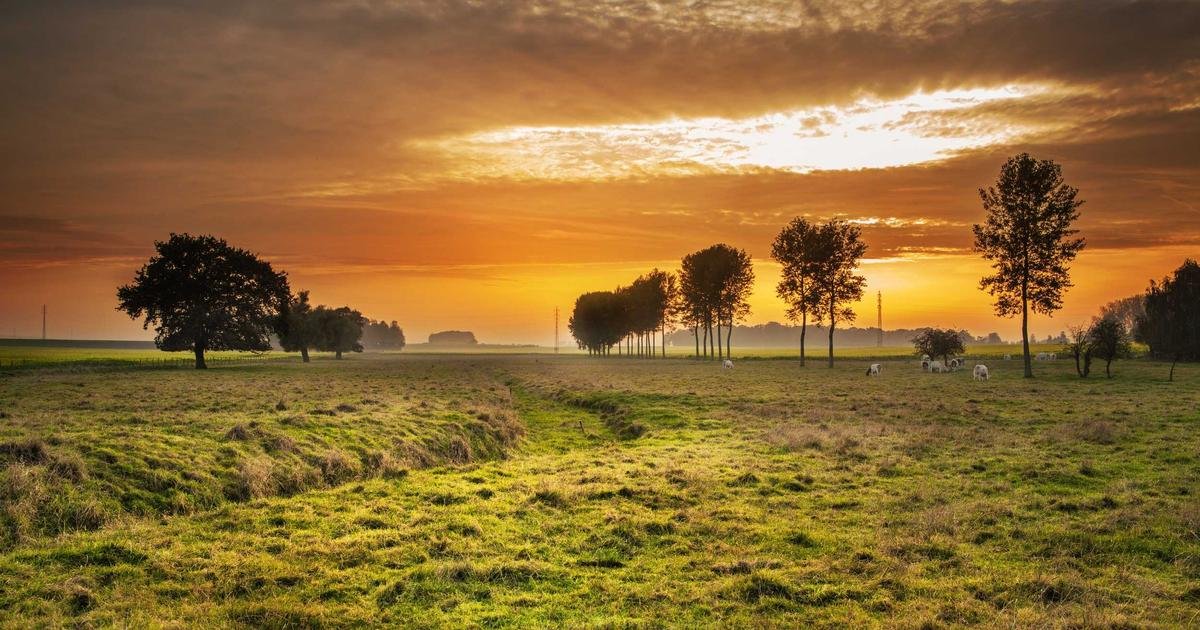 Tren Terbaru: Mobile app development trends dan best practices