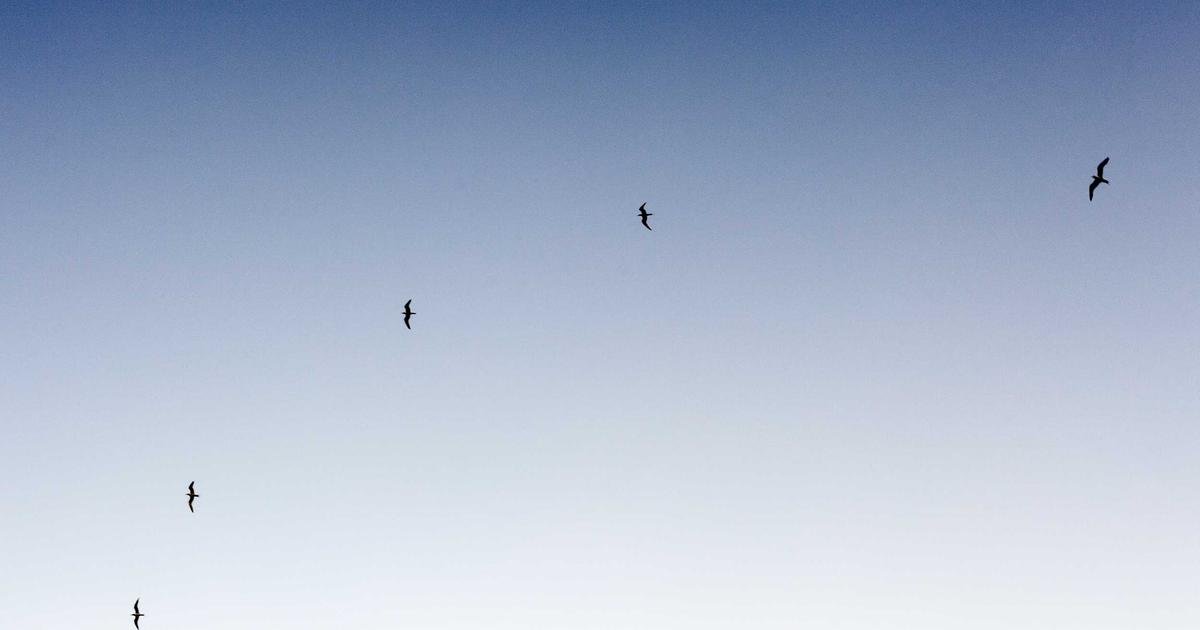 Tren Terbaru: Perkembangan Artificial Intelligence dan Machine Learning terbaru