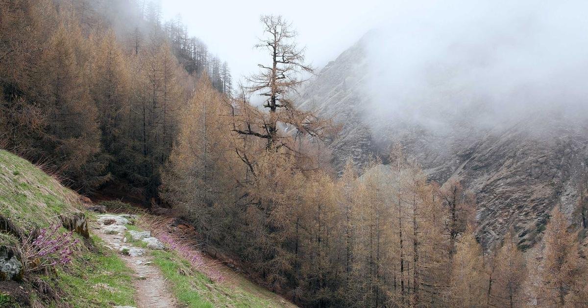 Tren Terbaru: Teknologi Cloud Computing dan infrastruktur modern